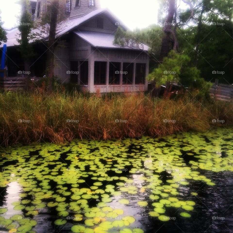 Boathouse 