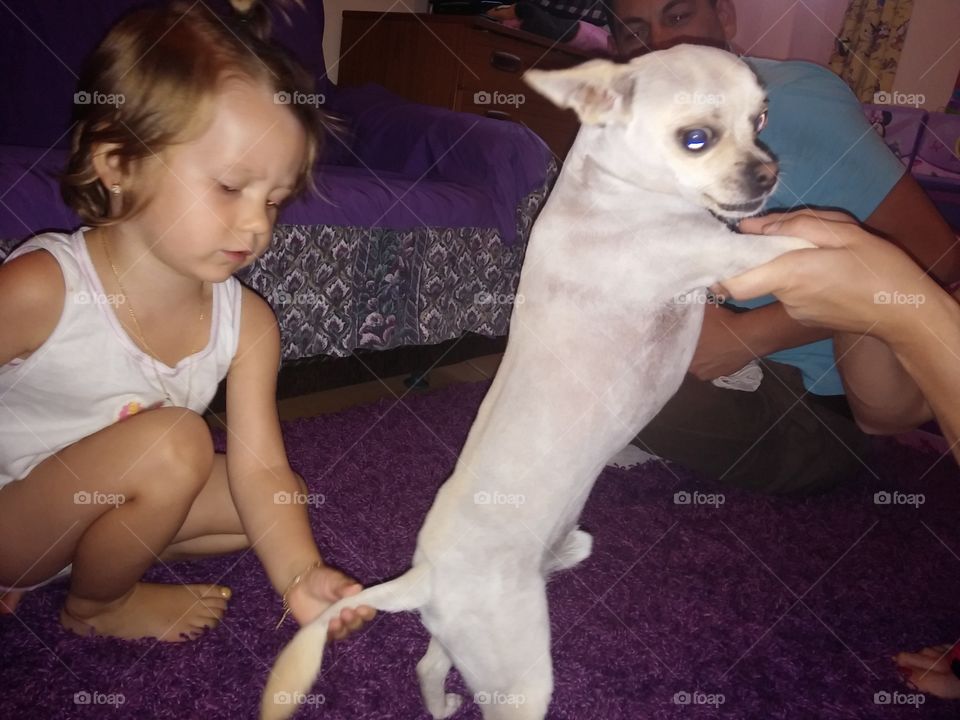 Small girl holding dog's tail