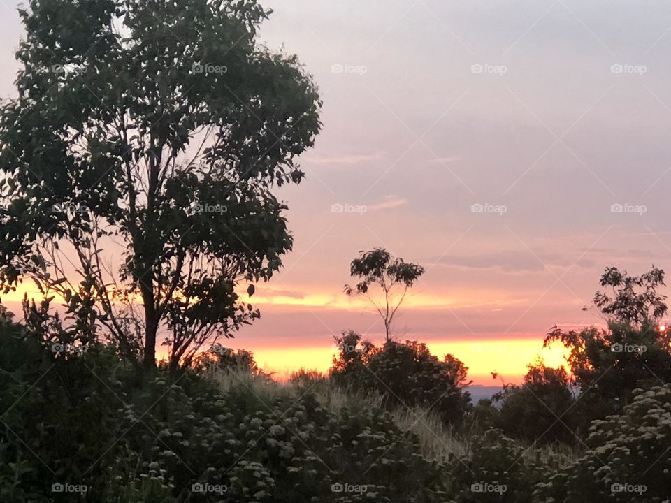 Sunset at mount Tazzie 