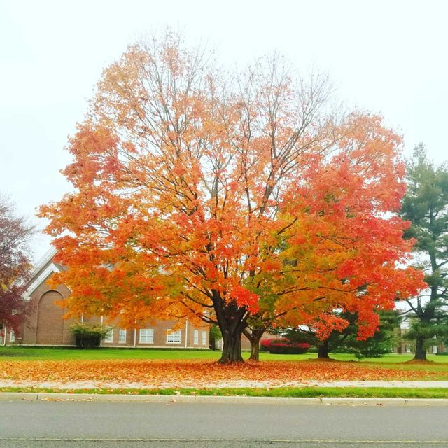 Fall