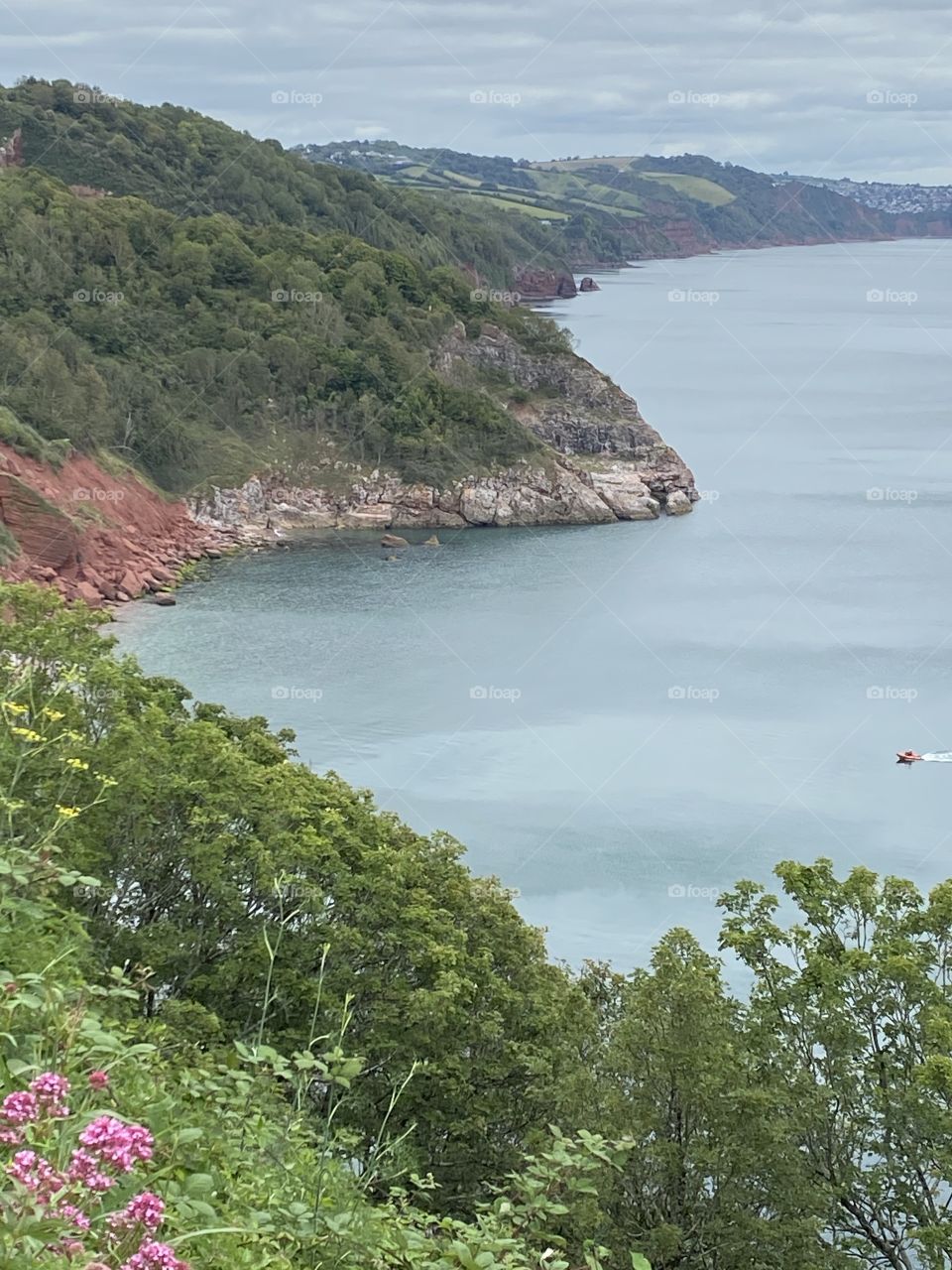 The Babbacombe  in Torquay coast line, in real detailed plateau along the coastal countryside.
