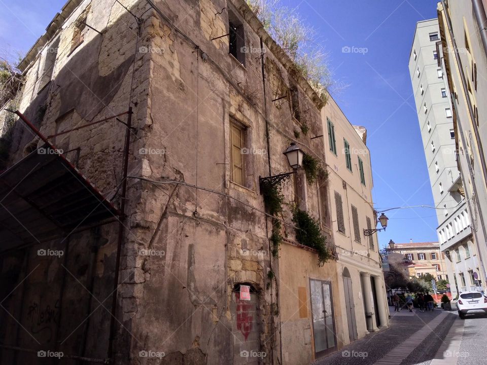 Editors' Choice: Photo of the Week