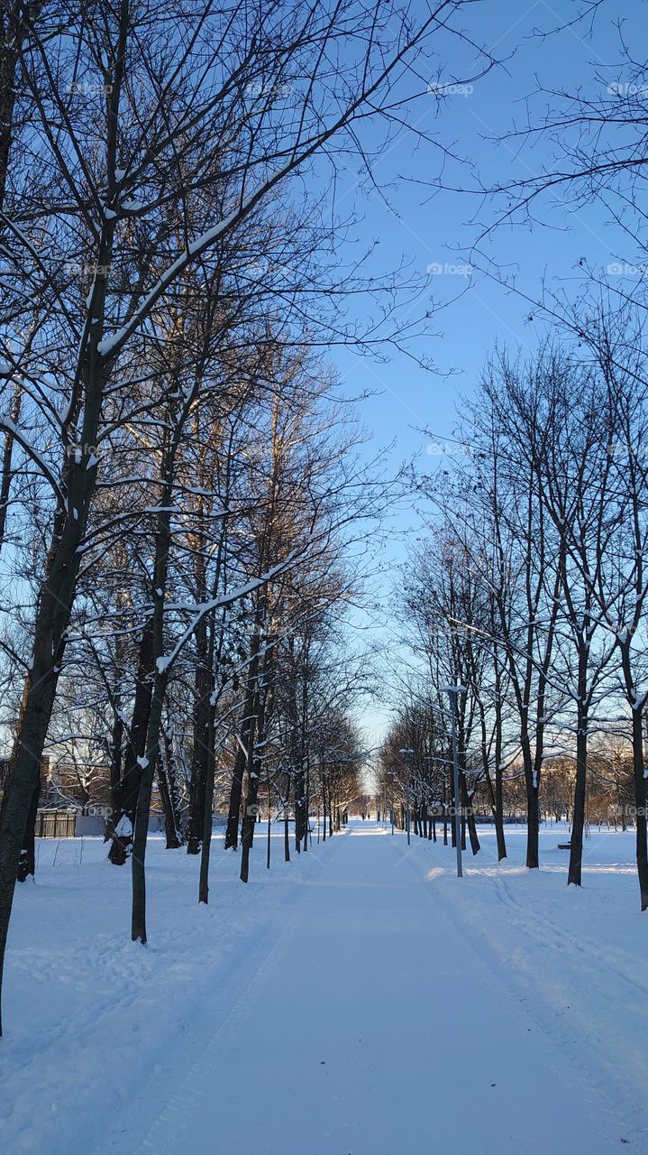 Walking in the park on a winter day