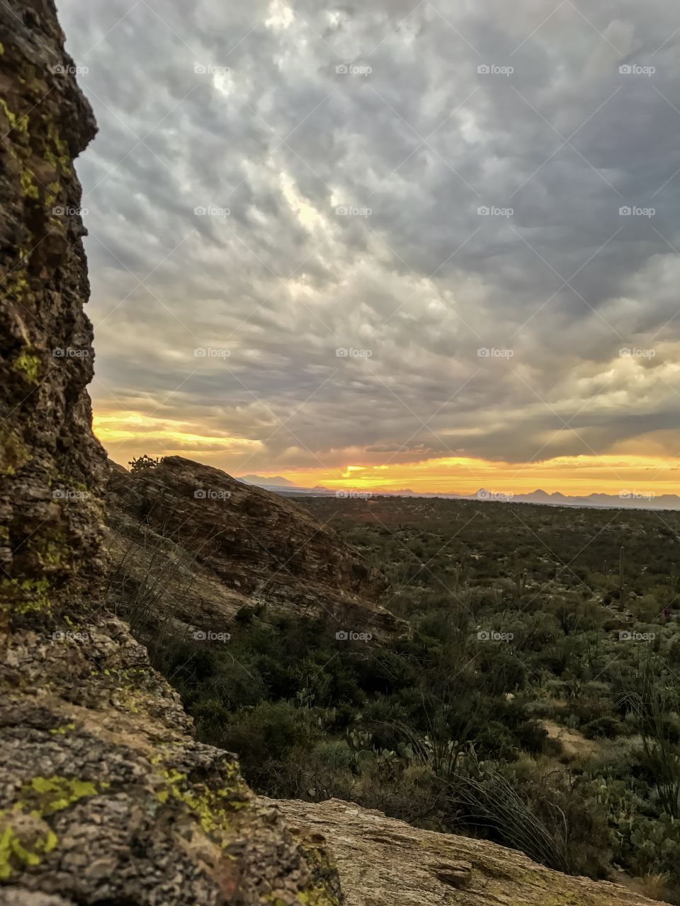 Desert Sunset 