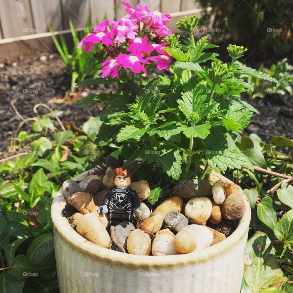 Toy in Flower Pot