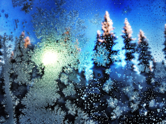 snow winter sweden tree by JonasPhoto