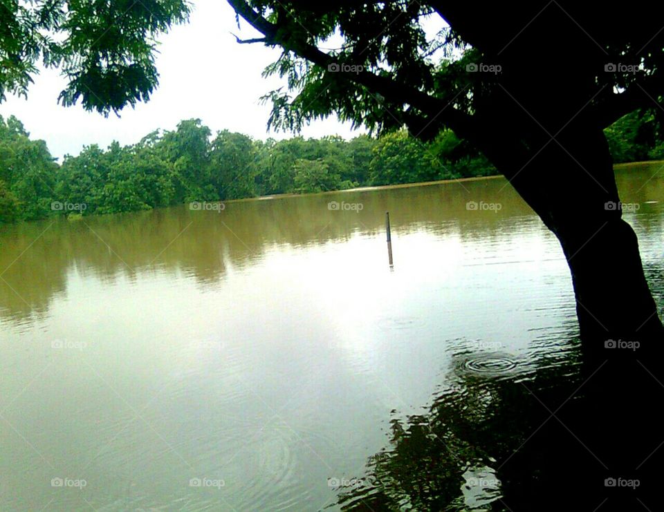 Reflection on flood water..