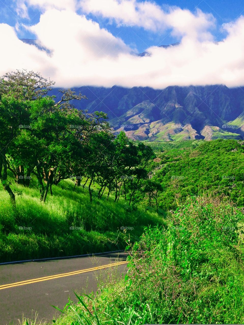 driving through Maui backcountry side