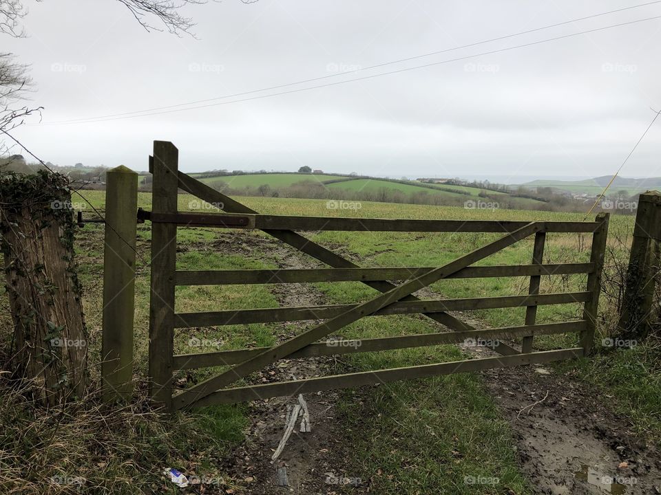 Countryside in Bideford in North Devon in first colour then black and white.