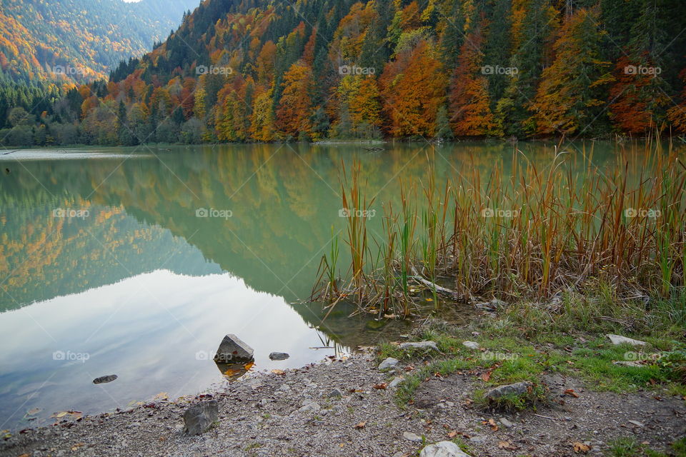 Miroir d'automne sur le lac 