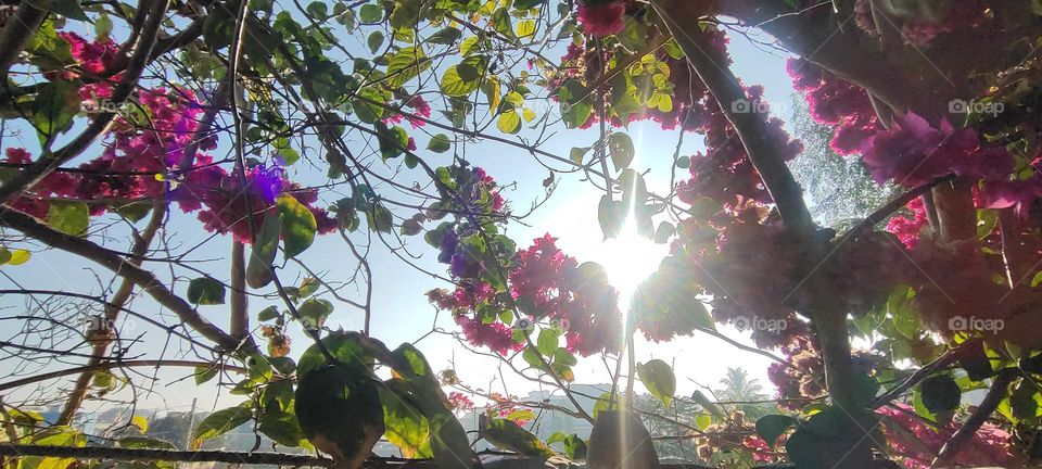 Bright morning with a new hope to start your work.so with a full energy get ready to achieve your goals.