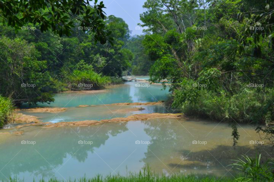 jungle rivers. agua azul in mexico 