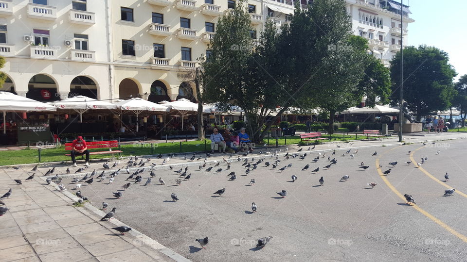 Aristotelous Square-Salonica