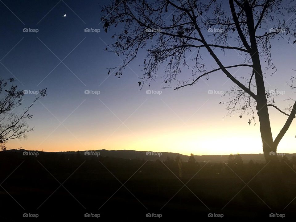 Stars and planets rise at sunset 