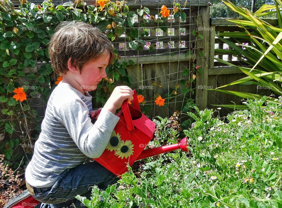 Little Boy In The Garden