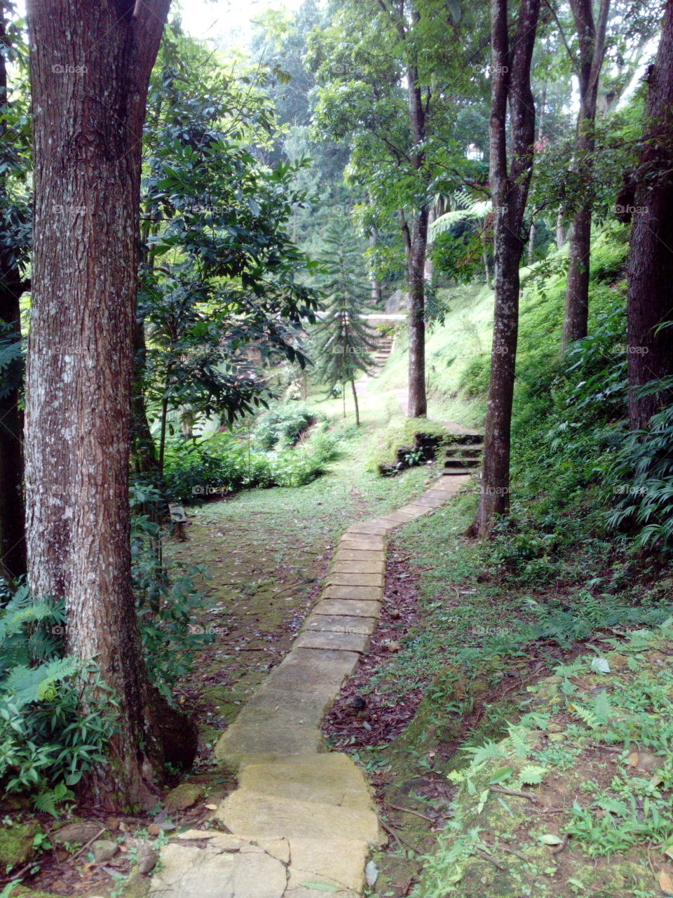 Pathway