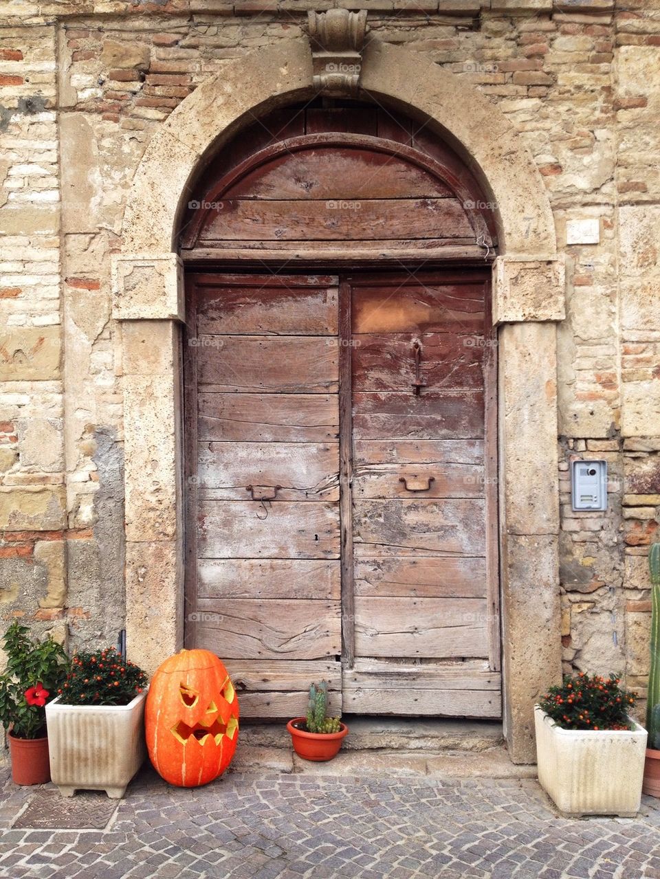 Old Door whit Halloween Pumpkin