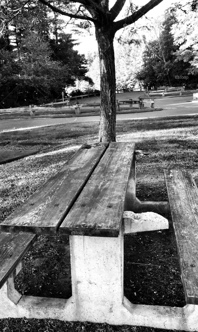 picnic table at the park. this angle was interesting