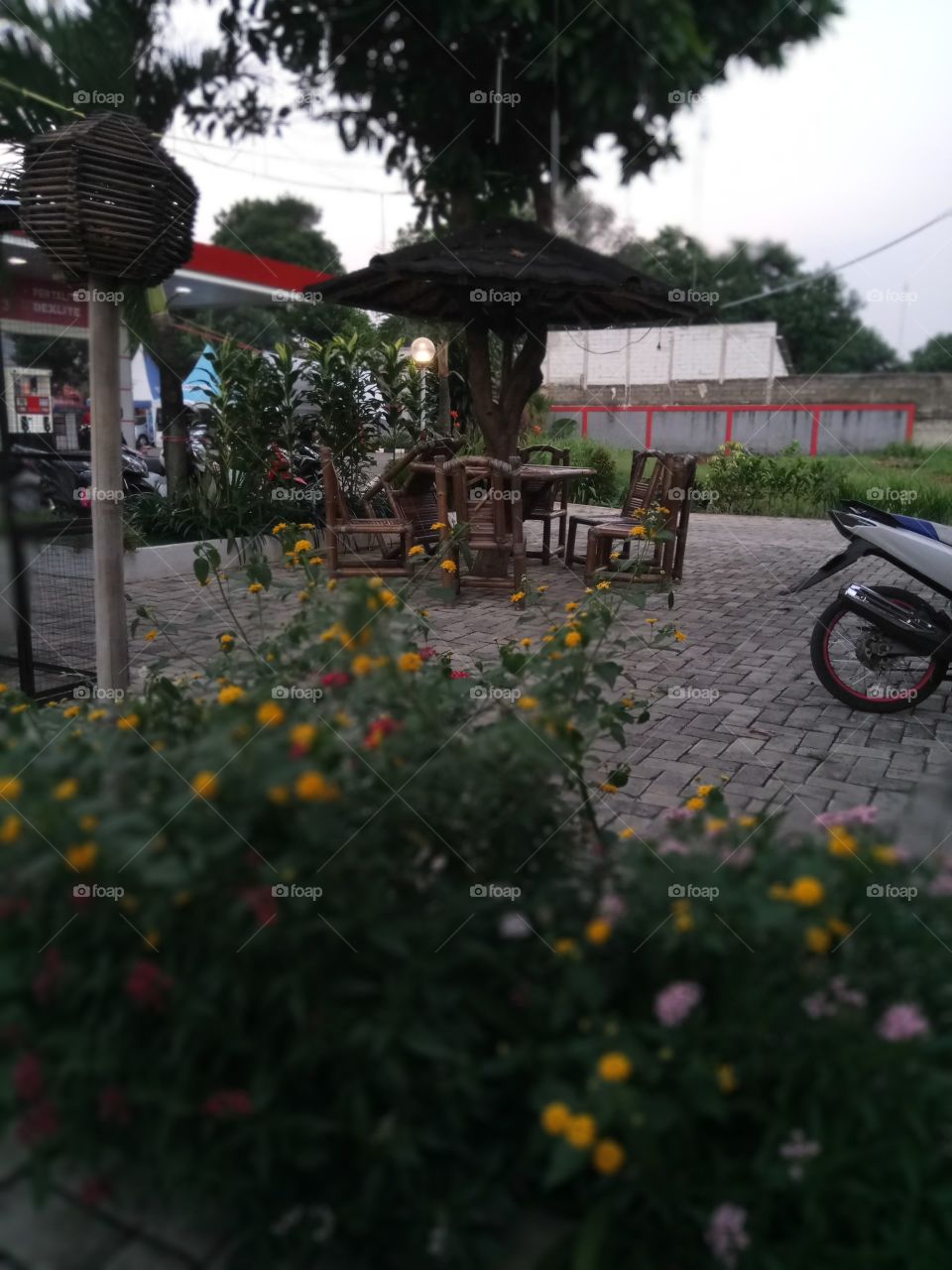 Flower, Garden, No Person, Vehicle, Competition