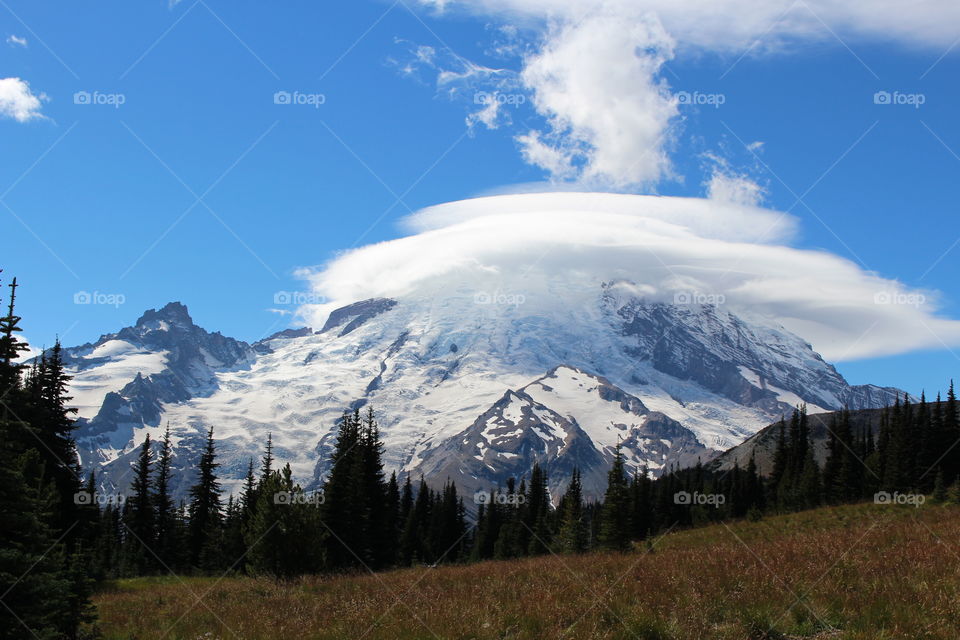 Snowy mountains and coniferous forest in winter