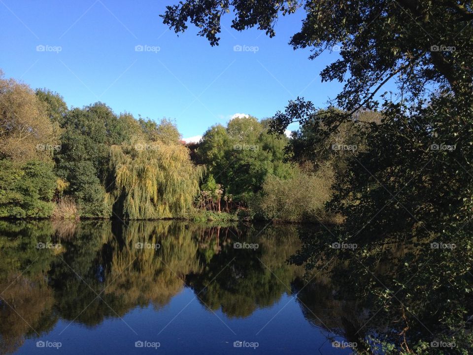 Peaceful Yarm View