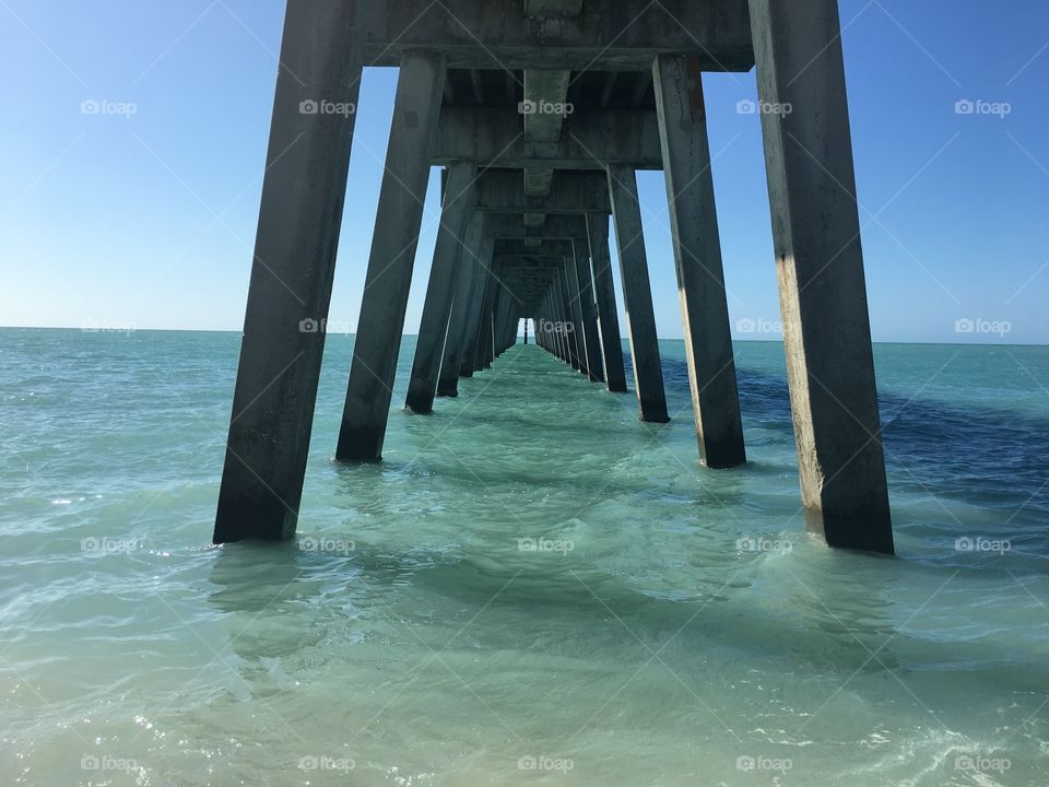 Venice beach | Florida 