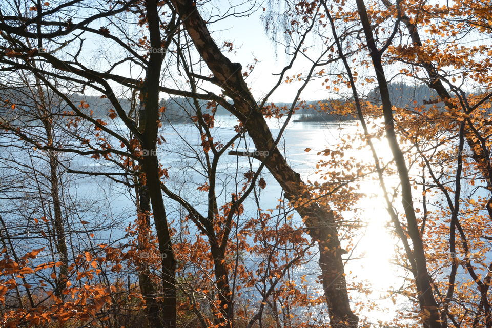 Winter in Skåne, Sweden