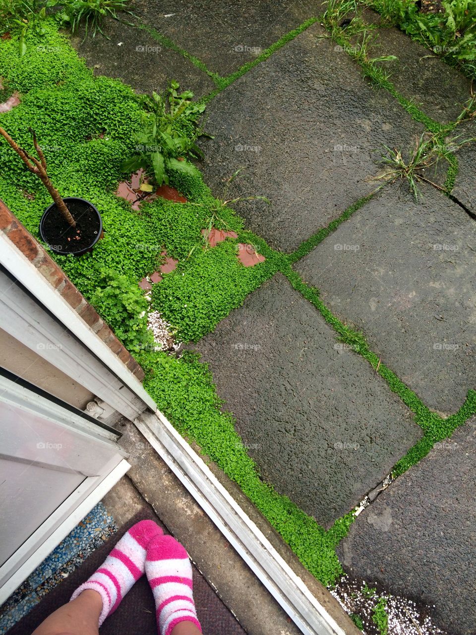 Me on Sunday morning after rain in a  doorway. 