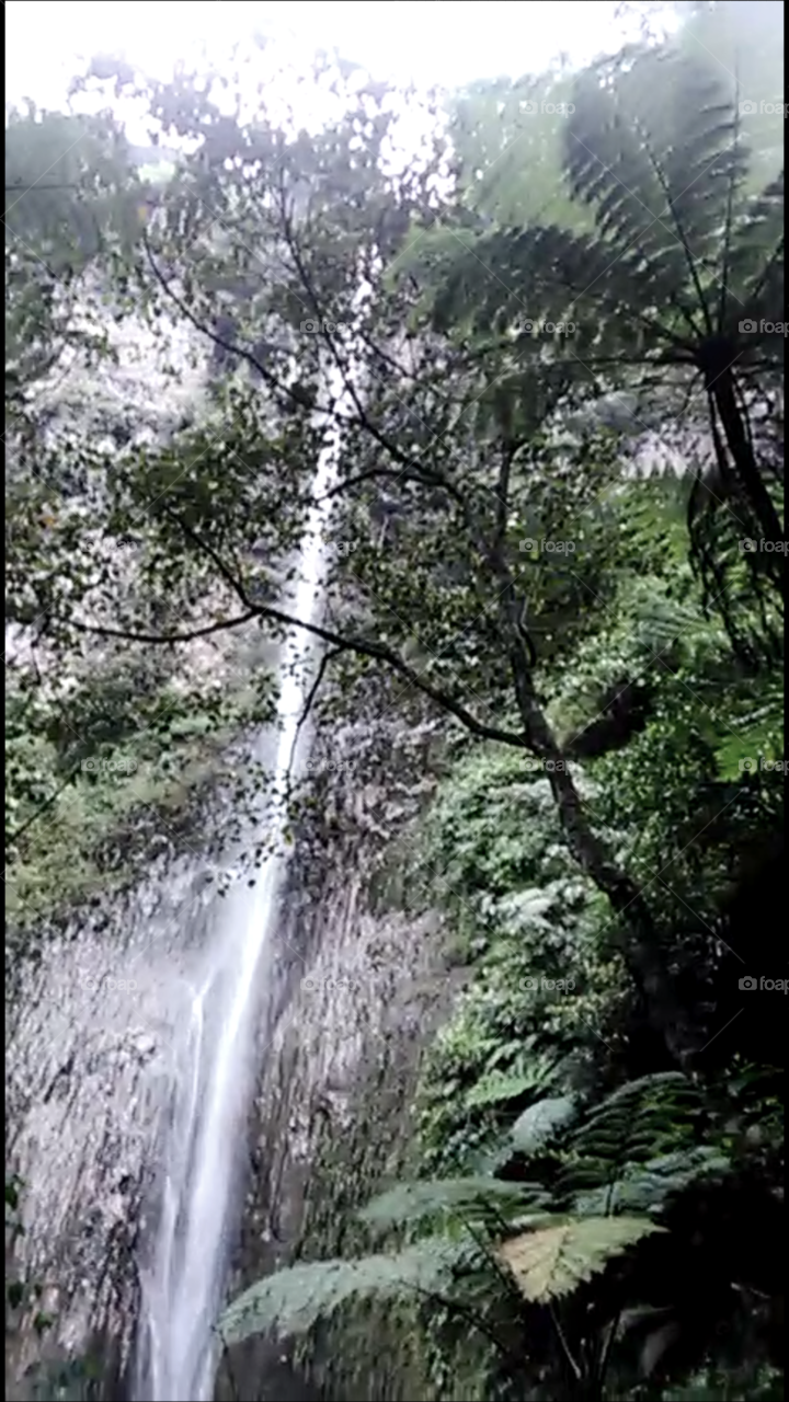 water fall at rain forest west java