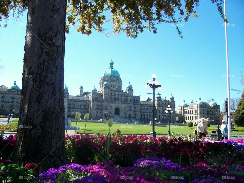 Parliament Building, Victoria, British Columbia 