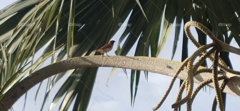 Do men only take a morning walk? no see my image even animals also go for a walk. it's nice to see the nature and it's creatures walking together