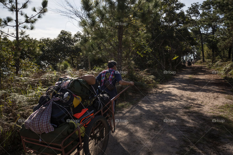 Man with cart in forest