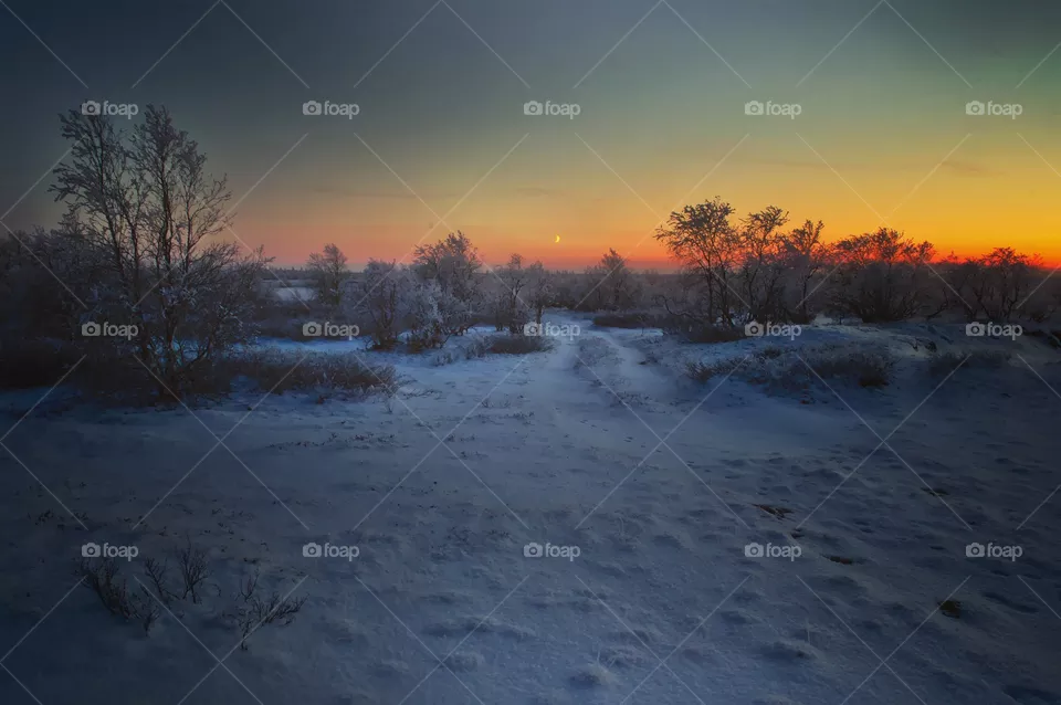 Early morning red-yellow sunrise, silence, freshness, frost, winter, north. Aurora borealis night.
