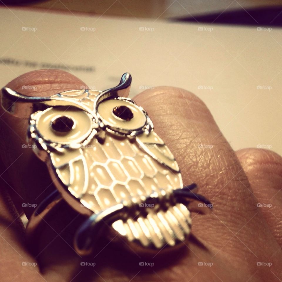 Owl jewelery