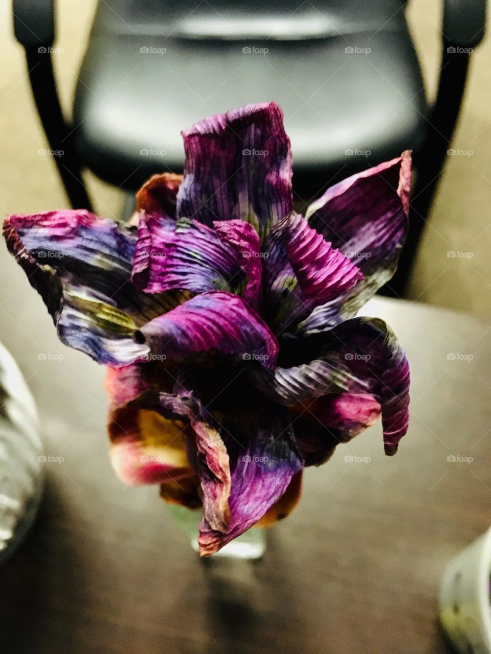 Beautiful dried purple flower 