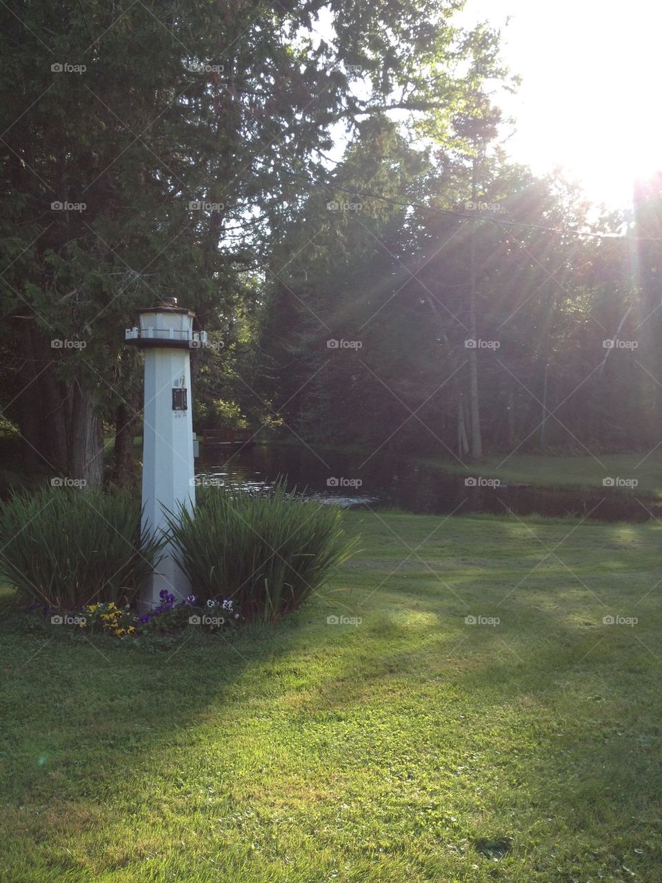 Evening at the ponds