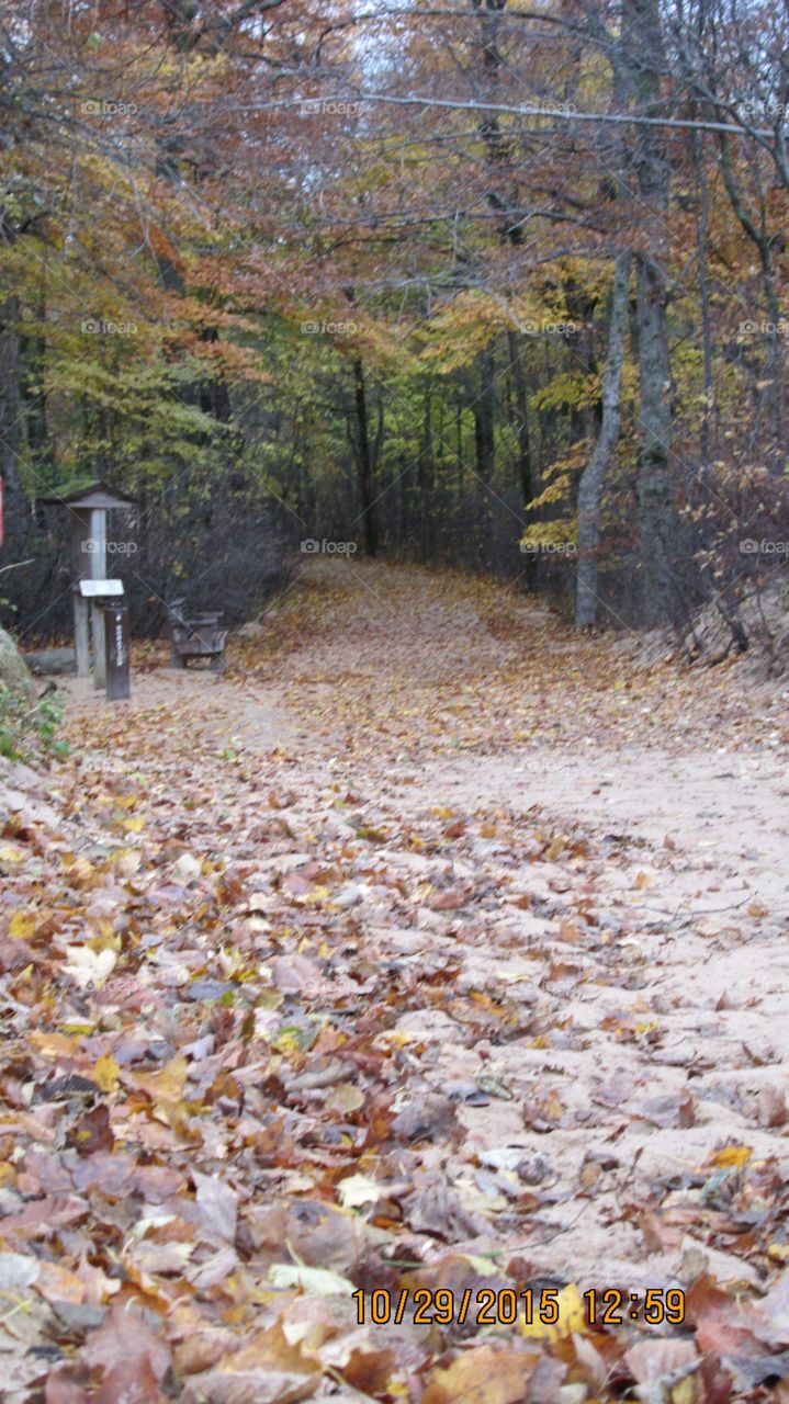 Northern Michigan 