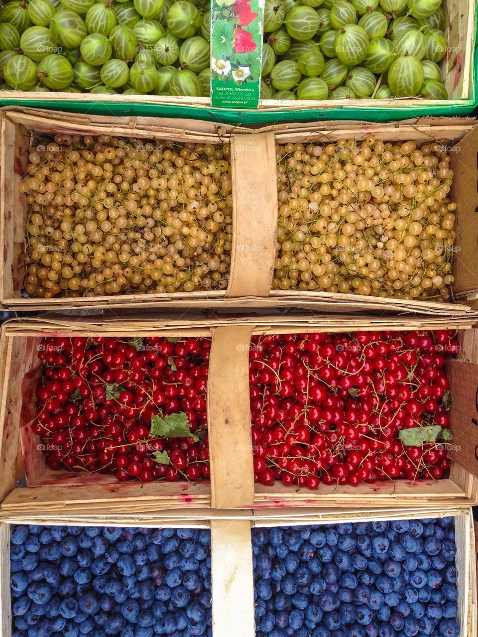 Berries in market