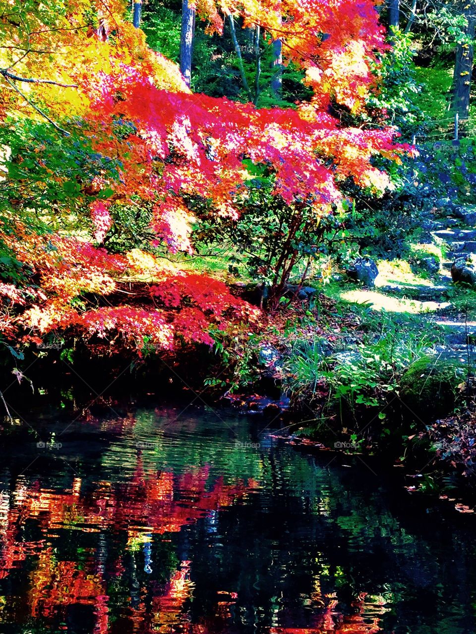 beautiful reflection