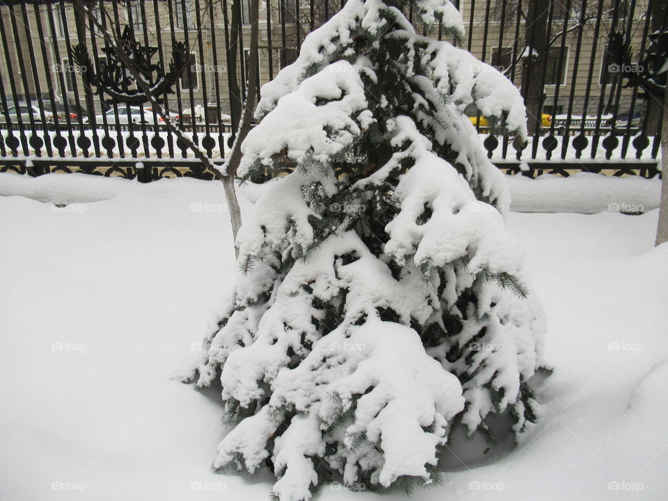 a lot of snow in winter in Russia