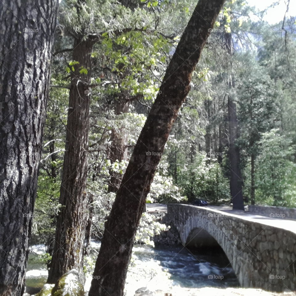 Bridgeview in Yosemite