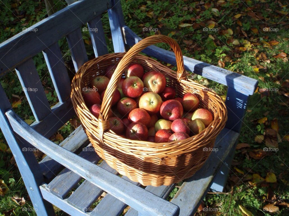blue fall autumn apples by toraand