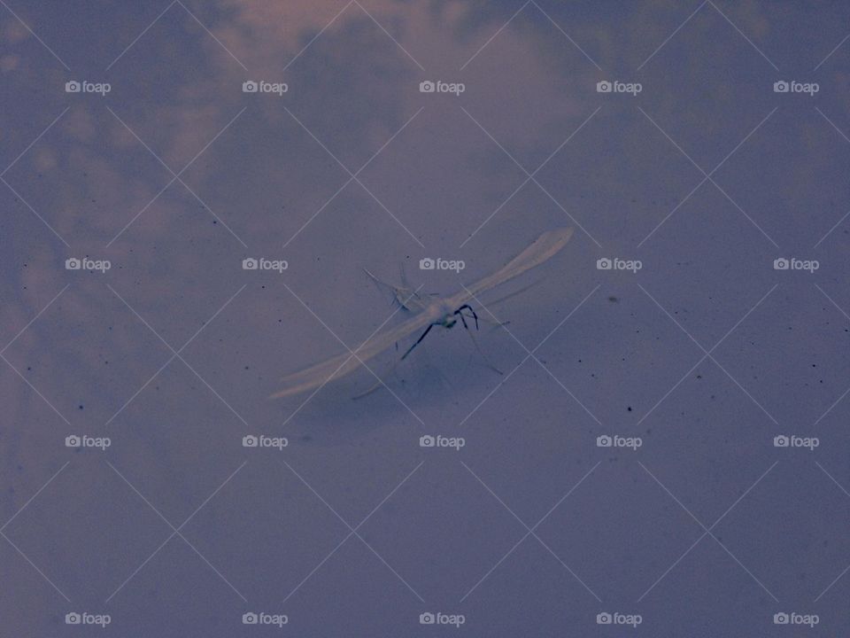 White Mystical Background