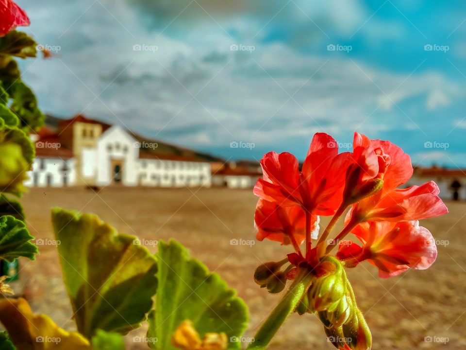 Villa de Leyva main square with flowers on a sunny afternoon