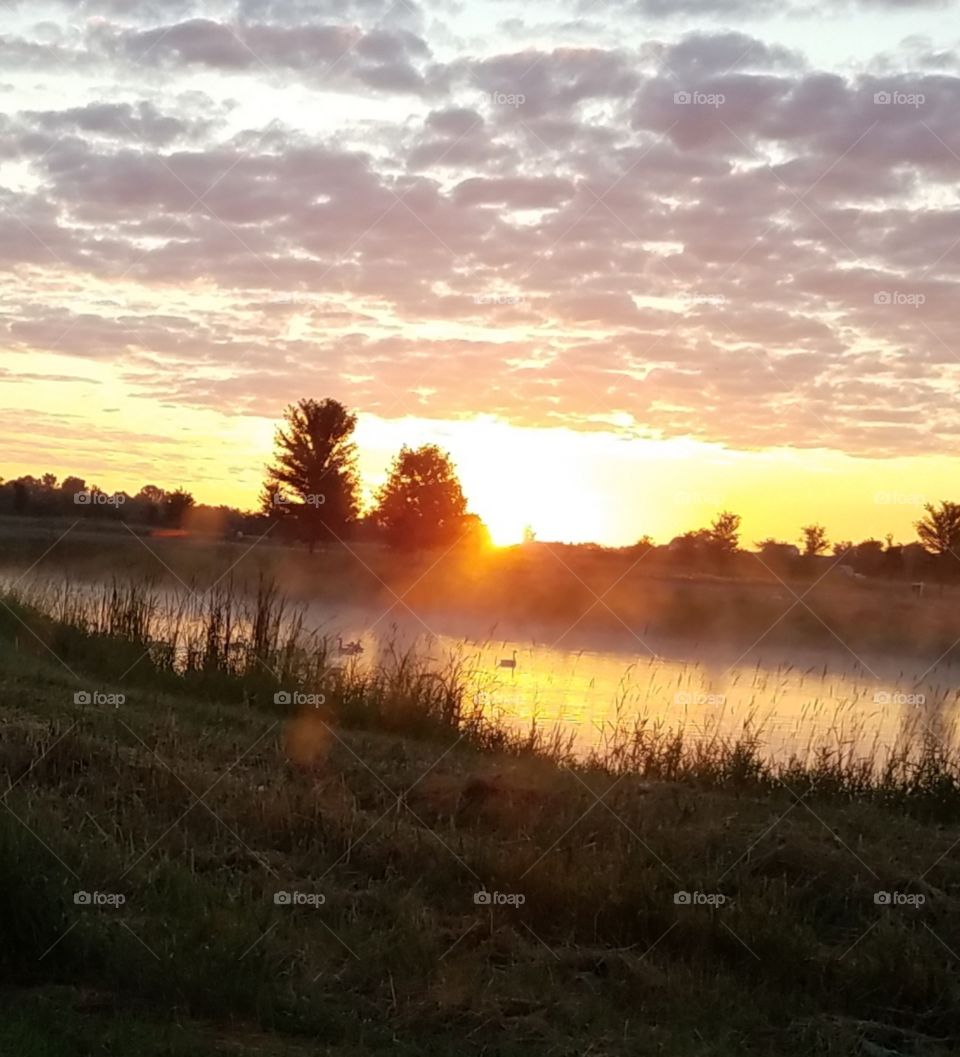 Tranquil morning splendor