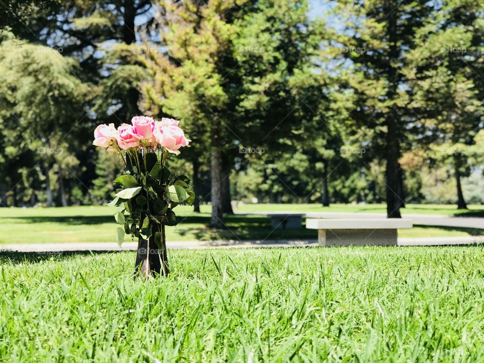 I remember you always 