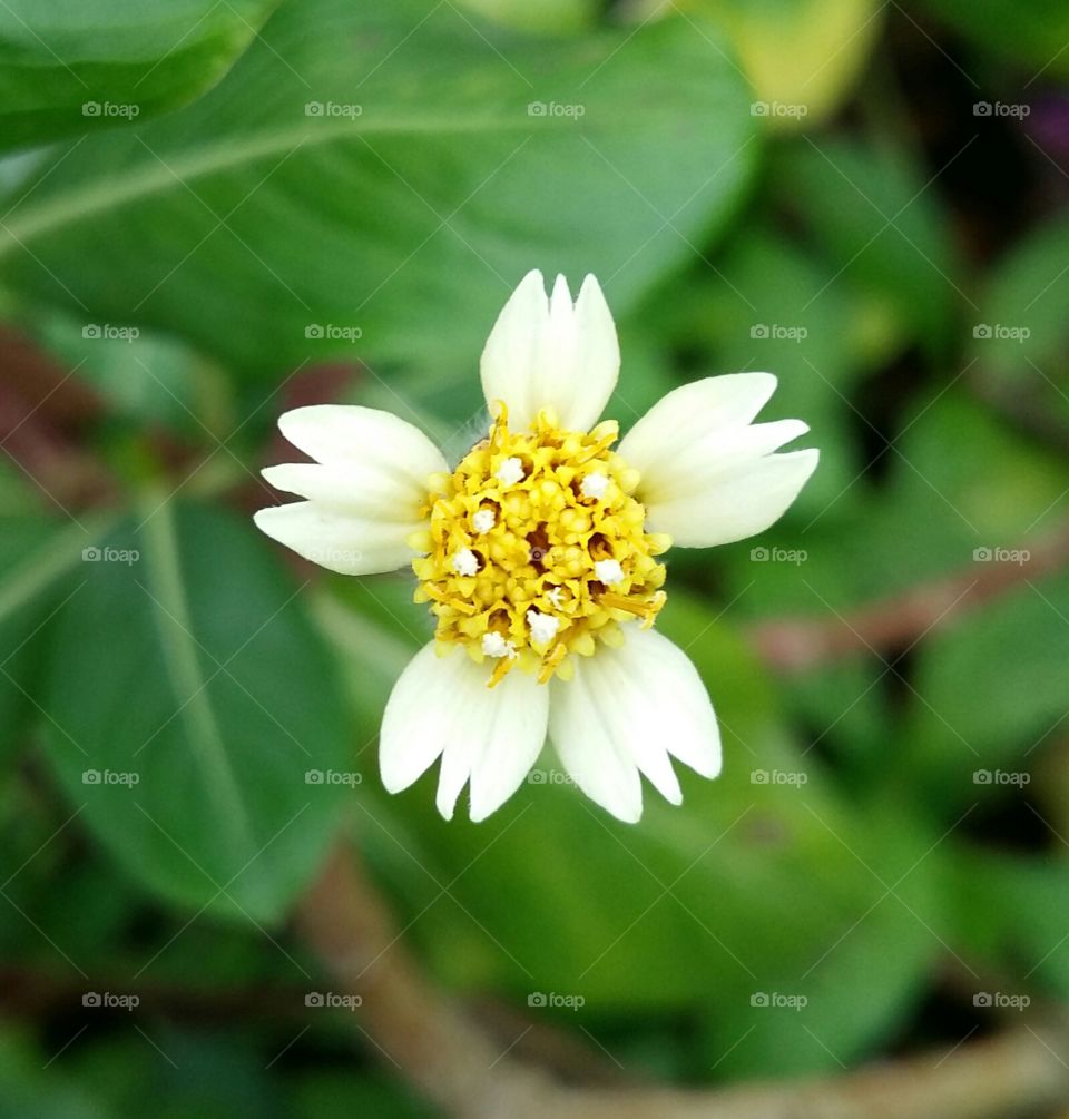 Everyone has there own charm.