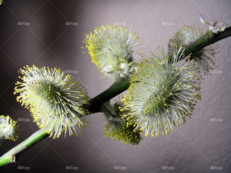 Красота природы Весна