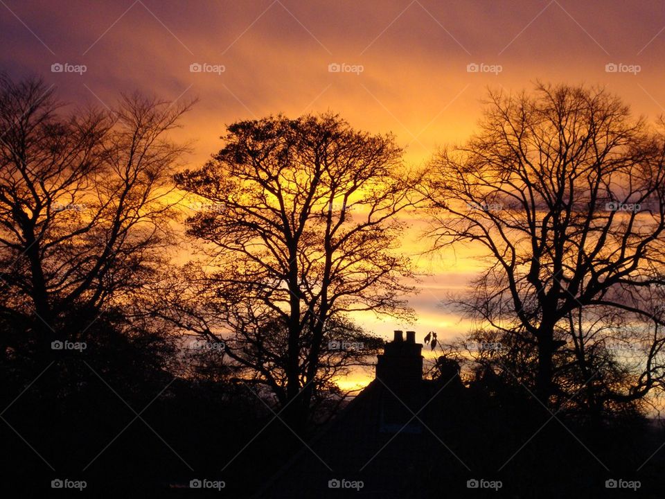 Backgarden Sunset