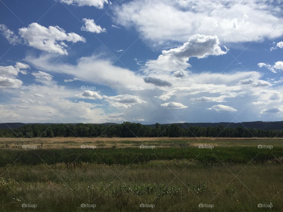 Landscape, No Person, Sky, Agriculture, Cropland